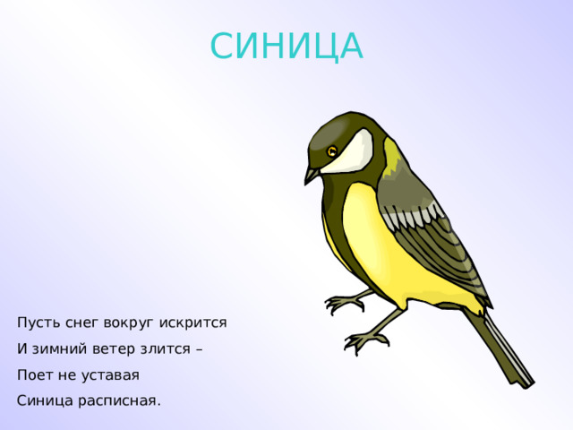СИНИЦА Пусть снег вокруг искрится И зимний ветер злится – Поет не уставая Синица расписная. 
