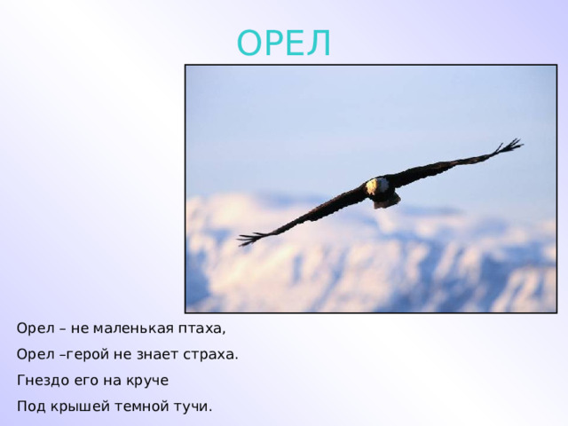 ОРЕЛ Орел – не маленькая птаха, Орел –герой не знает страха. Гнездо его на круче Под крышей темной тучи. 