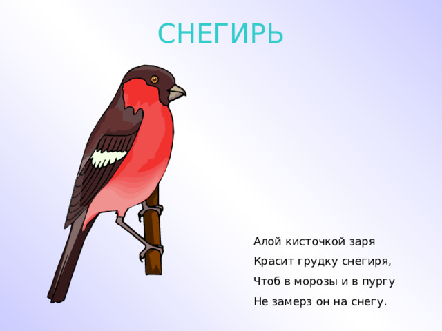 СНЕГИРЬ Алой кисточкой заря Красит грудку снегиря, Чтоб в морозы и в пургу Не замерз он на снегу. 
