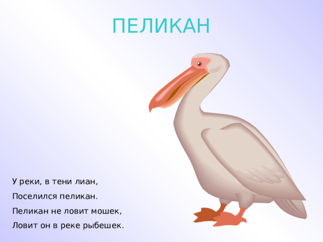 ПЕЛИКАН У реки, в тени лиан, Поселился пеликан. Пеликан не ловит мошек, Ловит он в реке рыбешек. 