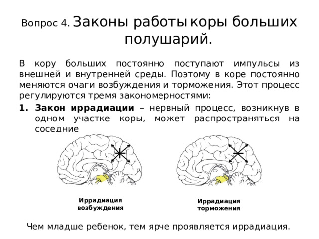 Вопрос 4.  Законы работы  коры больших полушарий. В кору больших постоянно поступают импульсы из внешней и внутренней среды. Поэтому в коре постоянно меняются очаги возбуждения и торможения. Этот процесс регулируются тремя закономерностями: Закон иррадиации – нервный процесс, возникнув в одном участке коры, может распространяться на соседние Иррадиация возбуждения Иррадиация торможения Чем младше ребенок, тем ярче проявляется иррадиация. 