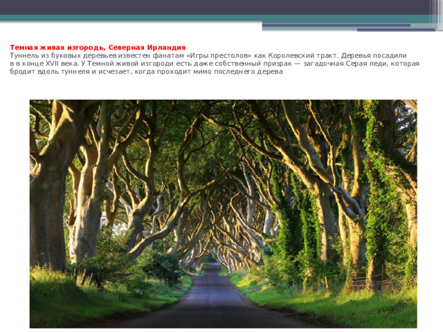 Темная живая изгородь, Северная Ирландия  Туннель из буковых деревьев известен фанатам «Игры престолов» как Королевский тракт. Деревья посадили в в конце XVII века. У Темной живой изгороди есть даже собственный призрак — загадочная Серая леди, которая бродит вдоль туннеля и исчезает, когда проходит мимо последнего дерева   