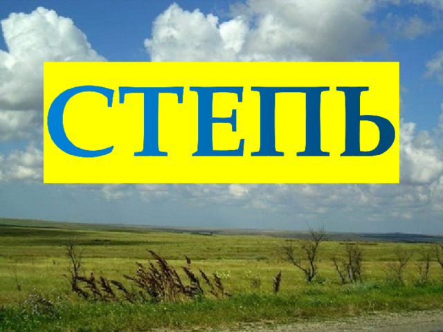Презентация " Степи" 4 класс