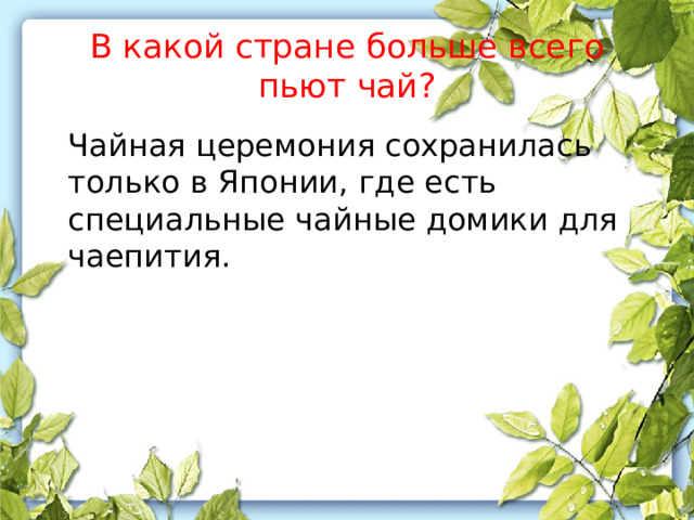 В какой стране больше всего пьют чай?  Чайная церемония сохранилась только в Японии, где есть специальные чайные домики для чаепития. 