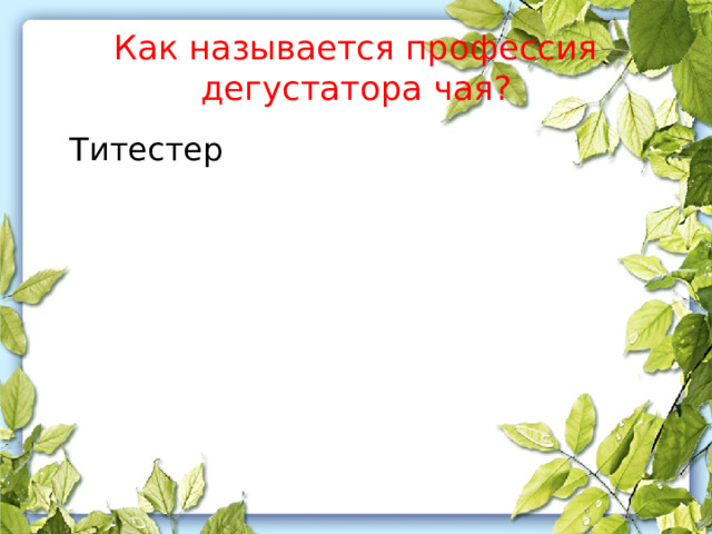 Как называется профессия дегустатора чая?  Титестер 