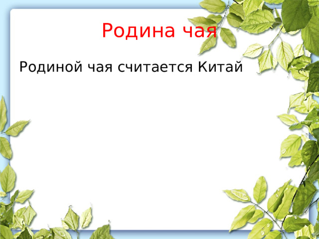 Родина чая Родиной чая считается Китай 