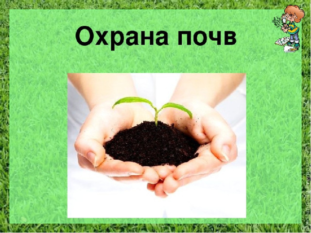 Охрана почв проект