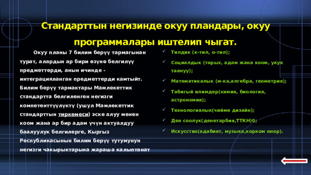 Стандарттын негизинде окуу пландары, окуу программалары иштелип чыгат.    Окуу планы 7 билим берүү тармагынан турат, алардын ар бири өзүнө белгилүү предметтерди, анын ичинде - интеграцияланган предметтерди камтыйт. Билим берүү тармактары Мамлекеттик стандартта белгиленген негизги компетенттүүлүктү (ушул Мамлекеттик стандарттын  тиркемеси ) эске алуу менен коом жана ар бир адам үчүн актуалдуу баалуулук белгилерге, Кыргыз Республикасынын билим берүү тутумунун негизги чакырыктарына жараша калыптанат Тилдик (к-тил, о-тил); Социалдык (тарых, адам жана коом, укук таануу); Математикалык (м-ка,алгебра, геометрия); Табигый илимдер(химия, биология, астрономия); Технологиялык(чийме дизайн); Ден соолук(денетарбия,ТТКН)0; Искусство(адабият, музыка,корком онор).  