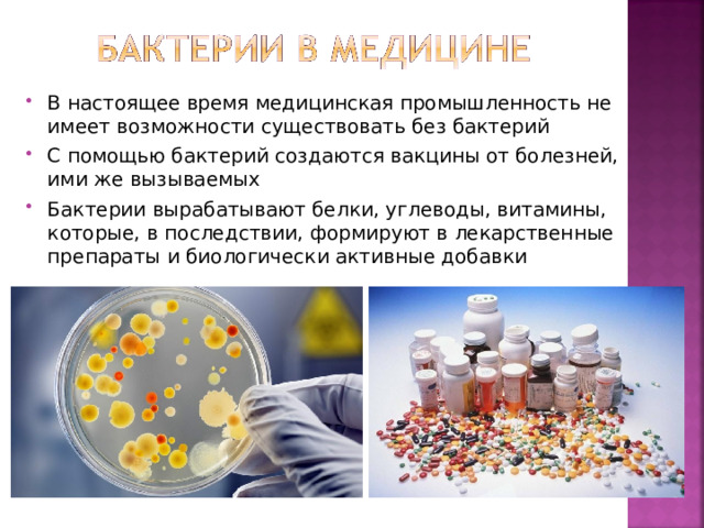В настоящее время медицинская промышленность не имеет возможности существовать без бактерий С помощью бактерий создаются вакцины от болезней, ими же вызываемых Бактерии вырабатывают белки, углеводы, витамины, которые, в последствии, формируют в лекарственные препараты и биологически активные добавки 