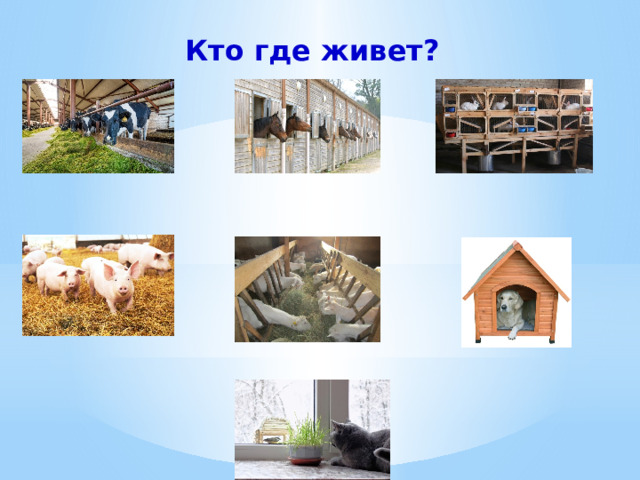 Кто где живет? 