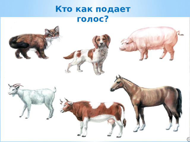 Кто как подает голос? 
