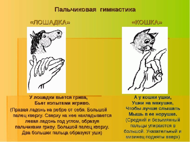 Технологическая карта про кошек и собак