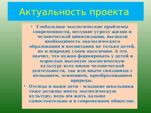 Экологическая необходимость это
