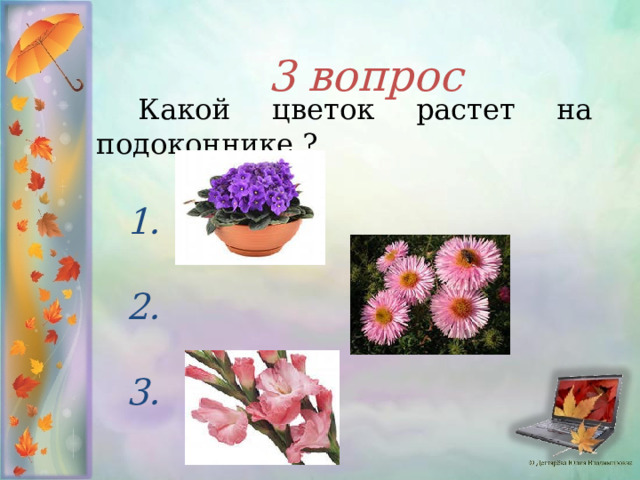 3 вопрос     Какой цветок растет на подоконнике ?  1.  2.  3.  