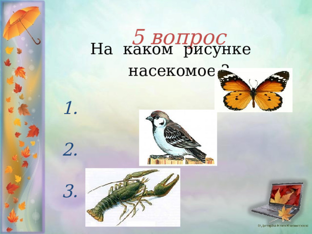 5 вопрос    На каком рисунке насекомое ?  1.  2.  3.  