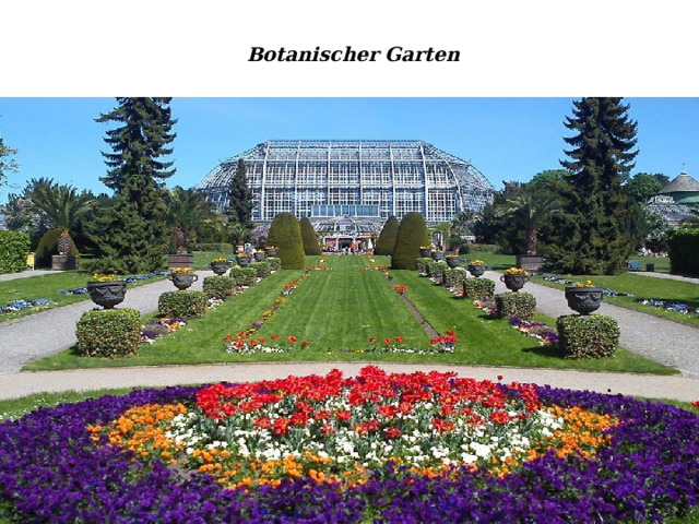  Botanischer Garten 