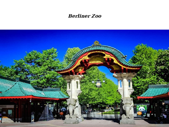 Berliner Zoo 