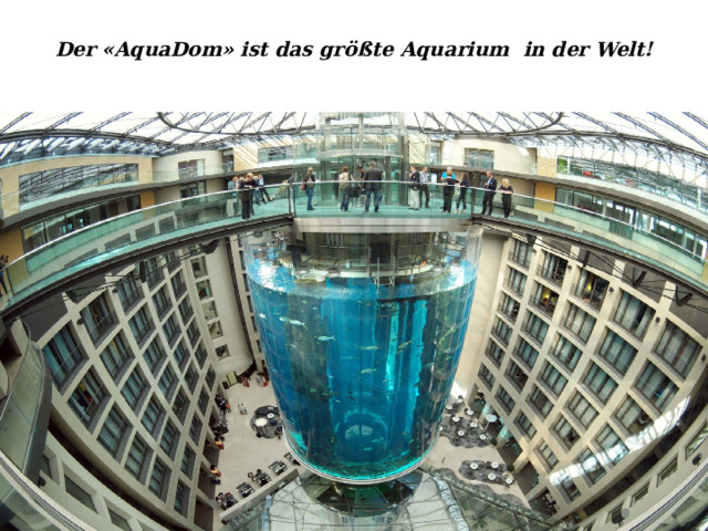Der «AquaDom» ist das gr ößte Aquarium in der Welt!   