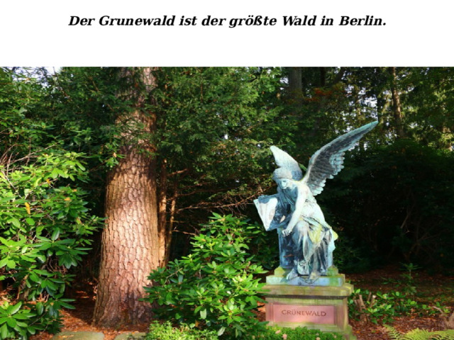 Der Grunewald ist der gr ößte Wald in Berlin.    