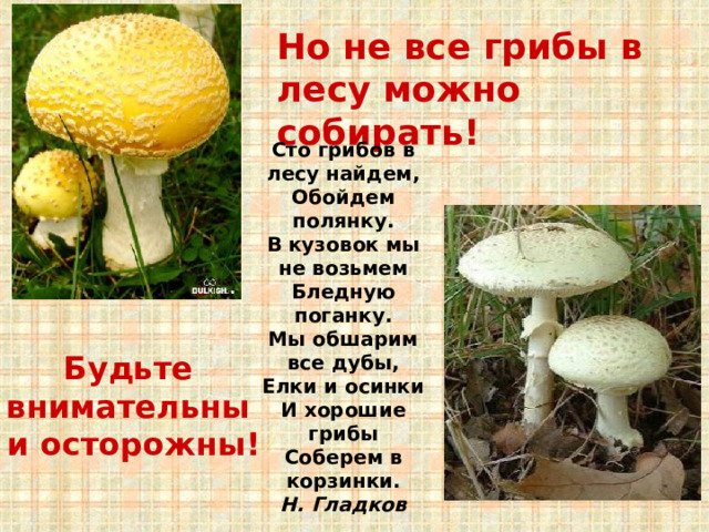  Но не все грибы в лесу можно собирать! Сто грибов в лесу найдем,  Обойдем полянку.  В кузовок мы не возьмем  Бледную поганку.  Мы обшарим все дубы,  Елки и осинки  И хорошие грибы  Соберем в корзинки.  Н. Гладков Будьте внимательны и осторожны! 