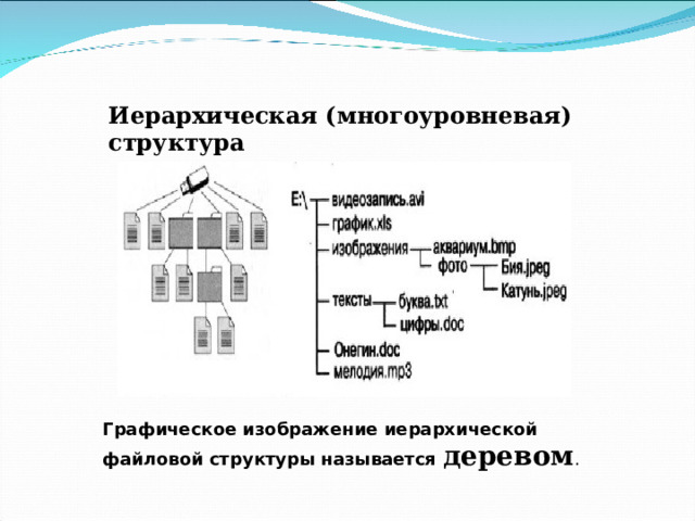 Иерархическая (многоуровневая) структура Графическое изображение иерархической файловой структуры называется деревом . 