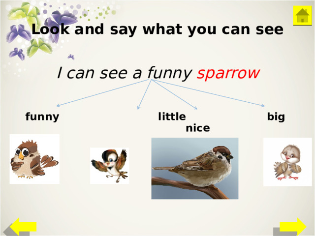 Look and say what you can see I can see a funny sparrow funny little big nice 