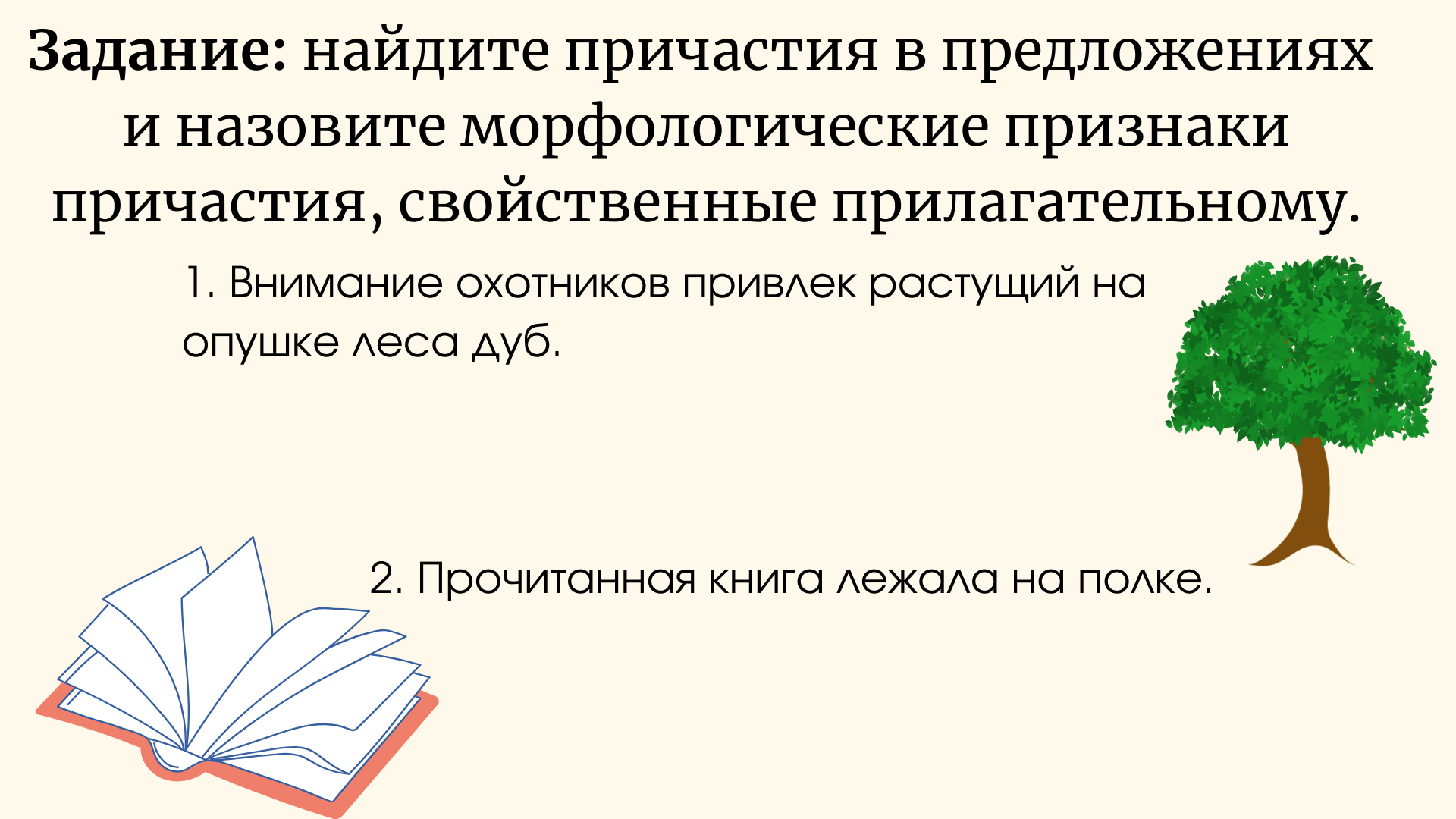 Причастие и причастный оборот. 6 класс.