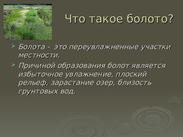 Места образования болот. Причины образования болот. Факторы образования болота. Причина образование боло.