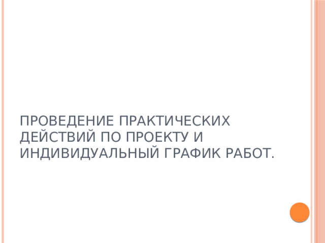 Проведение практических действий по проекту и индивидуальный график работ. 