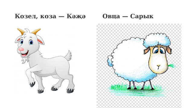  Козел, коза — Кәҗә Овца — Сарык   