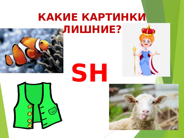 КАКИЕ КАРТИНКИ ЛИШНИЕ? SH 