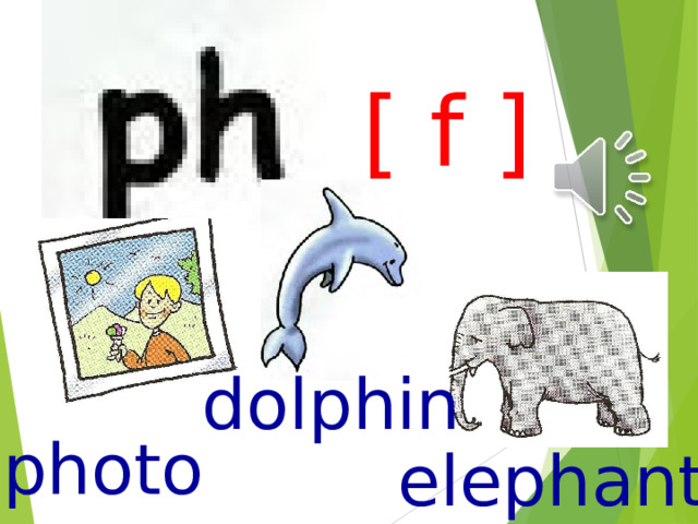 [ f ] dolphin photo elephant 