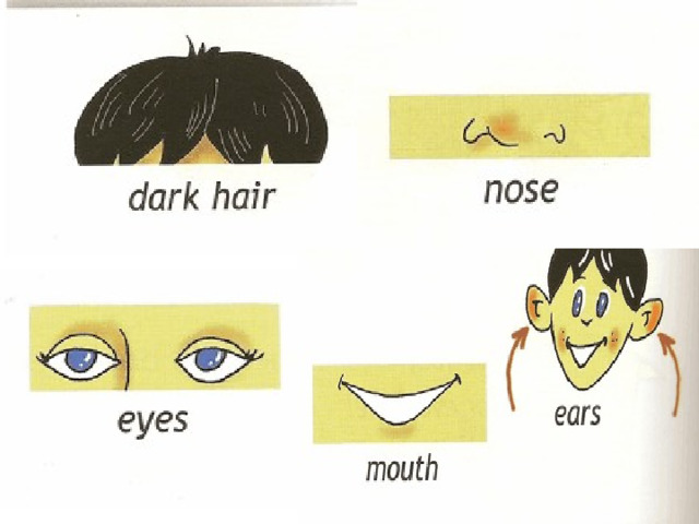 Слово нос глагол. Карточки для английского глаза волосы. Карточки по теме внешность английский язык. Части лица на английском языке для детей. Глаза рот волосы по английскому.