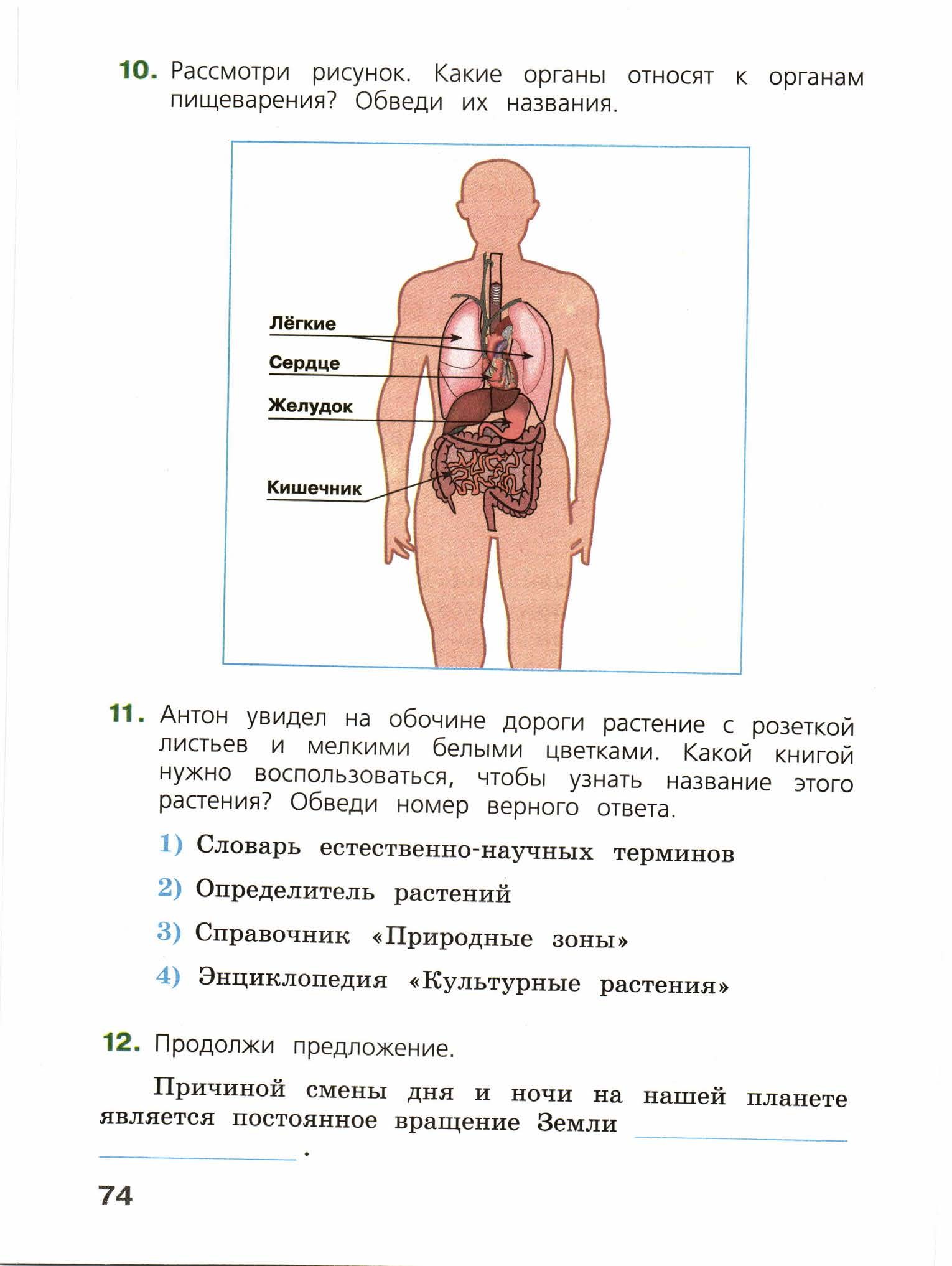 Внимательно рассмотри рисунок на котором изображена одна из систем органов человека