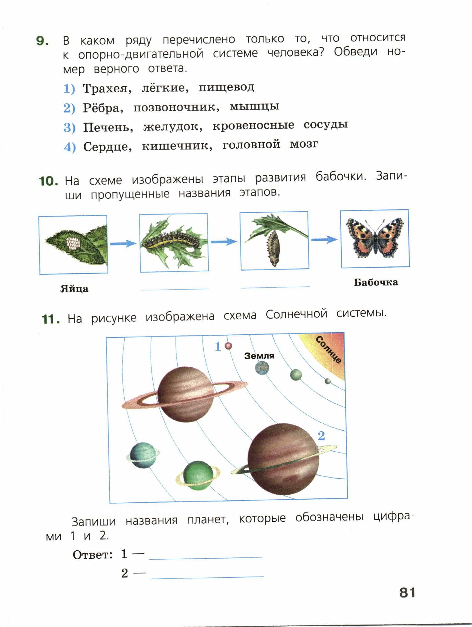 ВПР Окруж. мир. 4кл. Обучающиеся работы. _М. Ю. Демидова