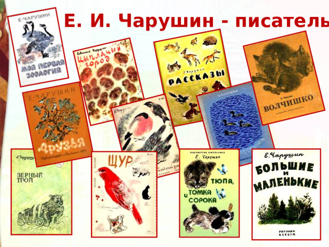 Е. И. Чарушин - писатель А так же он сочинял маленькие рассказы для детей и взрослых. В книжках он рассказывал про своих домашних любимцах, а так же про зверей, живущих в лесу – волков, медведей, лисиц.  