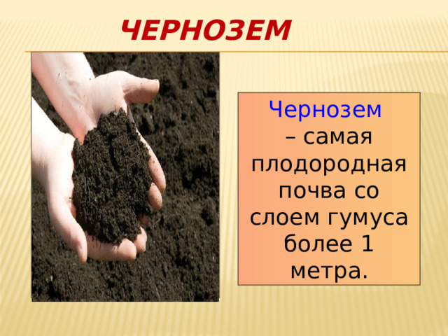 Чернозем Чернозем – самая плодородная почва со слоем гумуса более 1 метра. 