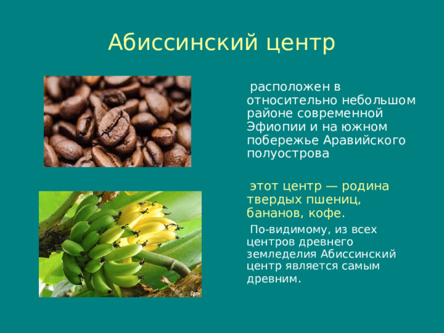 Абиссинский центр  расположен в относительно небольшом районе современной Эфиопии и на южном побережье Аравийского полуострова  этот центр — родина твердых пшениц, бананов, кофе .  По-видимому, из всех центров древнего земледелия Абиссинский центр является самым древним . 