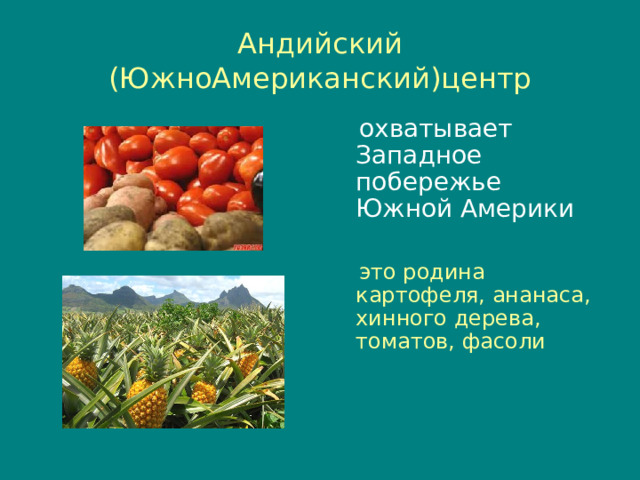 Андийский (ЮжноАмериканский)центр  охватывает Западное побережье Южной Америки  это родина картофеля, ананаса, хинного дерева, томатов, фасоли 