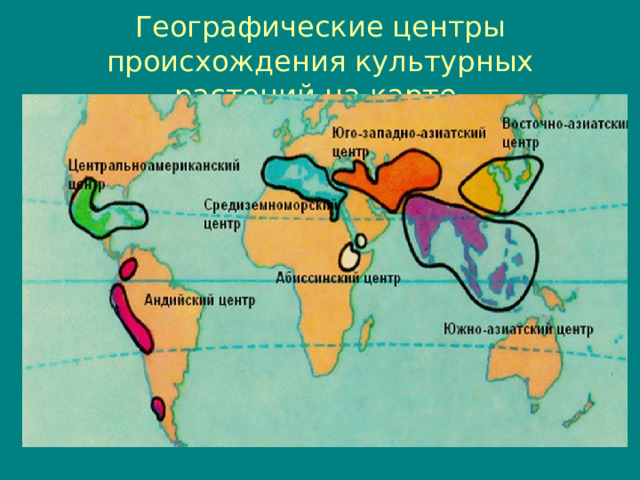 Географические центры происхождения культурных растений на карте 