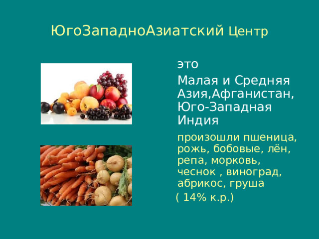 ЮгоЗападноАзиатский Центр  это  Малая и Средняя Азия,Афганистан, Юго-Западная Индия  произошли пшеница, рожь, бобовые, лён, репа, морковь, чеснок , виноград, абрикос, груша  ( 14% к.р.) 