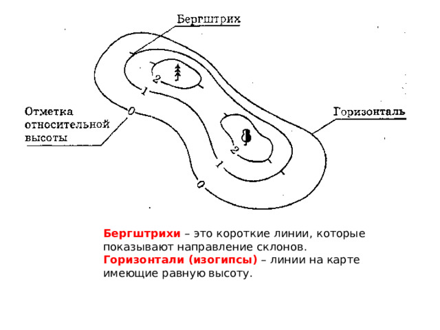Бергштрихи – это короткие линии, которые показывают направление склонов. Горизонтали (изогипсы) – линии на карте имеющие равную высоту. 