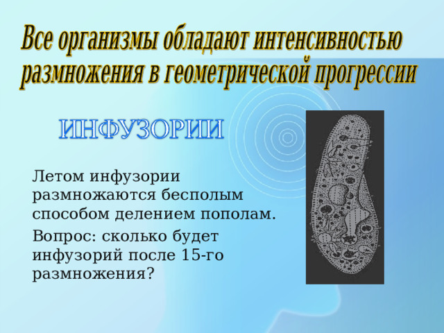  Летом инфузории размножаются бесполым способом делением пополам.  Вопрос: сколько будет инфузорий после 15-го размножения? 