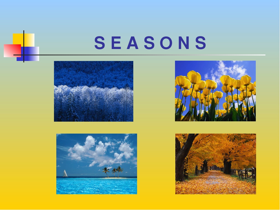 Проект времена года 3 класс готовый проект. Seasons презентация. Урок на тему Seasons. Презентация времена года. Seasons 2 класс.
