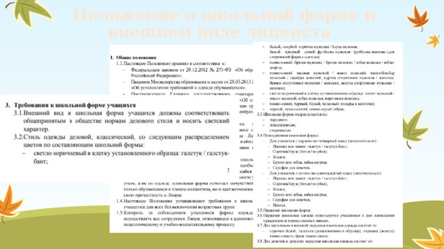  Положение о школьной форме и внешнем виде лицеиста 
