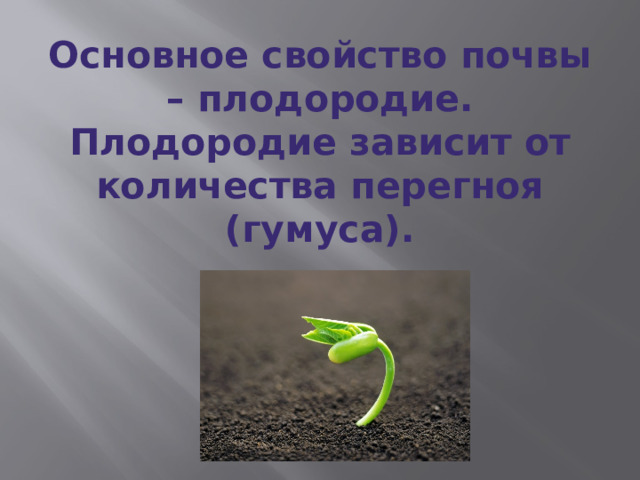 Основное свойство почвы – плодородие. Плодородие зависит от количества перегноя (гумуса). 