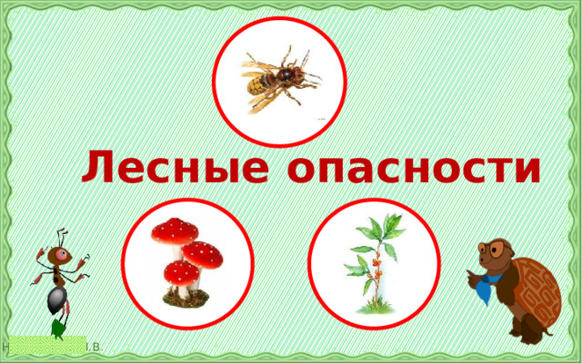  Лесные опасности 