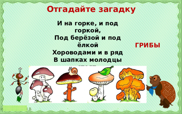  Отгадайте загадку И на горке, и под горкой, Под берёзой и под ёлкой Хороводами и в ряд В шапках молодцы стоят.  ГРИБЫ 