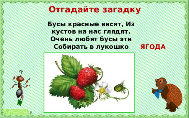  Отгадайте загадку Бусы красные висят, Из кустов на нас глядят. Очень любят бусы эти Собирать в лукошко дети.  ЯГОДА 