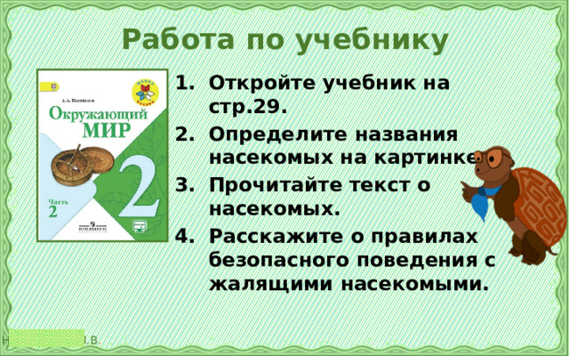 Работа по учебнику Откройте учебник на стр.29. Определите названия насекомых на картинке. Прочитайте текст о насекомых. Расскажите о правилах безопасного поведения с жалящими насекомыми. 